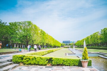 Obraz premium park in the park