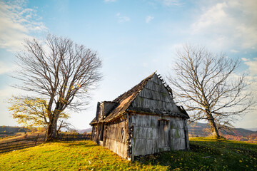 Fototapeta premium Abandoned wooden house surrounded by bare trees in highland