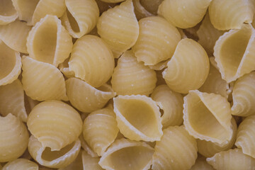Close up photo of Pasta shells