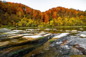 River rapids with autumn forests on banks