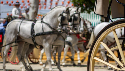 carriages and horses at popular festivals in Andalusia