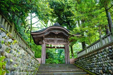 Obraz premium japanese garden gate