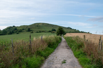 Fototapeta na wymiar Views of Cley Hill near Warminster, Wiltshire. On the path at the start of the approach. July 2021