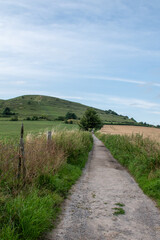 Fototapeta na wymiar Views of Cley Hill near Warminster, Wiltshire. On the path at the start of the approach. July 2021