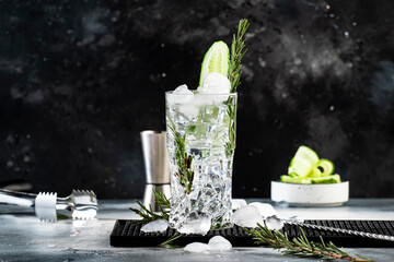 Gin tonic with cucumber, alcoholic long drink cocktail with dry gin, rosemary, tonic, fresh...