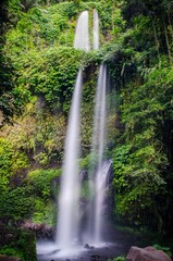 sendang gile waterfall in the forest, rinjani mountain, lombok