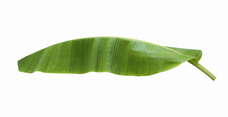 banana leaves isolated on a white background