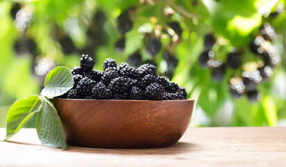 bowl of ripe blackberries in a garden
