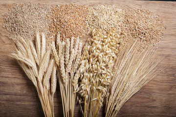 Ripe ears of cereals and grains. Wheat ears, rye, barley and oats on wooden background