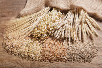 Ripe ears of cereals and grains. Wheat ears, rye, barley and oats on wooden background