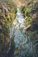 stream of water flowing through a natural ditch