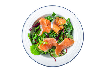 salmon salad slices fish green salad mix leaves seafood fresh healthy meal food diet snack on the table copy space food background 