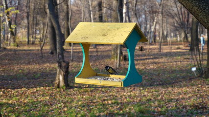 Naklejka premium a bird in a birdhouse in the spring in the park