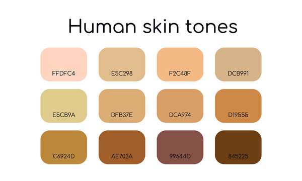 Skin tones palette by palette code. Different types human skin. Flat icon set. Vector  
