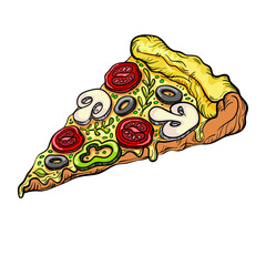 Pizza with mushrooms tomatoes olives and herbs vector