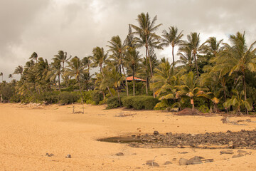 Panoramic landscape from a beach in Kauai, Hawai