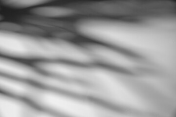 Natural shiny tropical shadow of  leaves  on a white textured background for overlaying in product presentations, backdrops and simulating seasonal summer ideas.