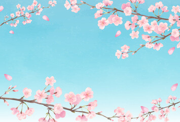 Naklejka na ściany i meble 空と桜
