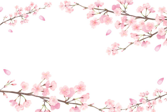 桜背景横 の画像 3 3 件の Stock 写真 ベクターおよびビデオ Adobe Stock