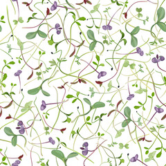 Seamless repeating pattern of sprouting microgreens on white background, vector illustration.  - obrazy, fototapety, plakaty