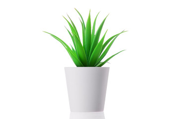 Green plant in a pot at home. Artificial flower vase decoration
