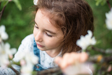A cute little girl of 5 years old in a blooming white apple orchard in spring. Springtime, orchard, flowering, allergy, spring fragrance, tenderness, caring for nature. Portrait