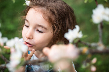 Obraz premium A cute little girl of 5 years old in a blooming white apple orchard in spring. Springtime, orchard, flowering, allergy, spring fragrance, tenderness, caring for nature. Portrait