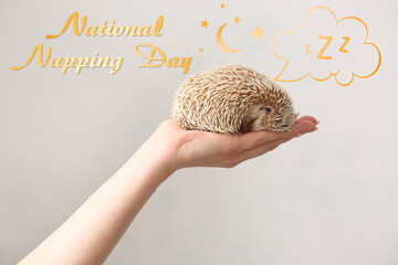 Woman holding cute hedgehog on light background. National Napping Day