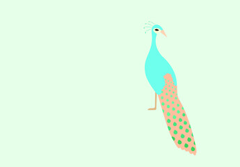 Peacock bird animal Vector illustration