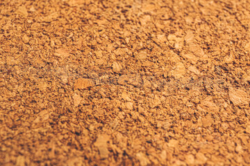 Natural cork texture, closeup view