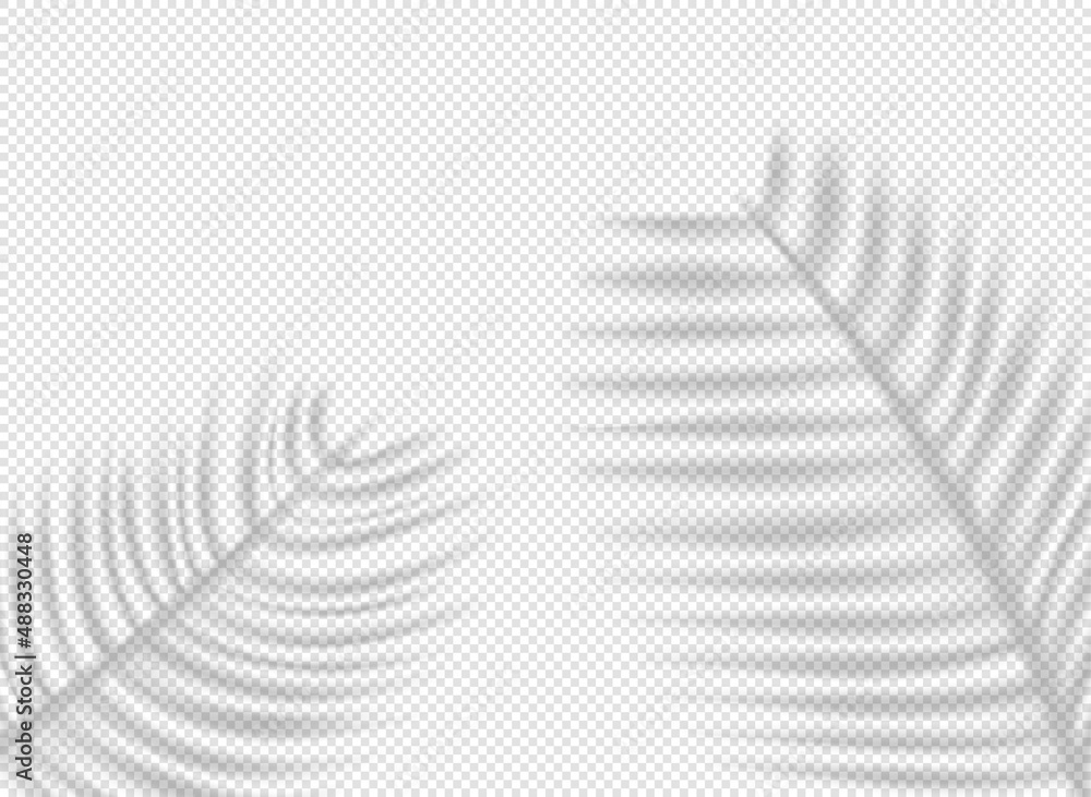 Aufkleber palm leaves shadows on transparent background. vector shadow overlay effect