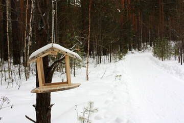 Bird feeder in winter forest