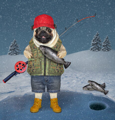 A dog pug fisherman with a fishing rod is fishing on a frozen lake in a winter forest.