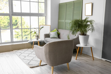 Interior of light living room with sofa, armchair and houseplants