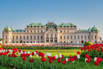 Vienna Austria city skyline at Belvedere Palace and spring tulips bulb flower - obrazy, fototapety, plakaty