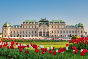 Rolgordijnen Vienna Austria city skyline at Belvedere Palace and spring tulips bulb flower © Noppasinw