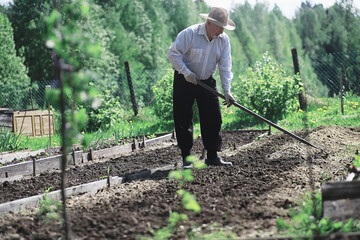 The farmer is digging a garden. The harvester plows the garden. The gray-haired grandfather mows...