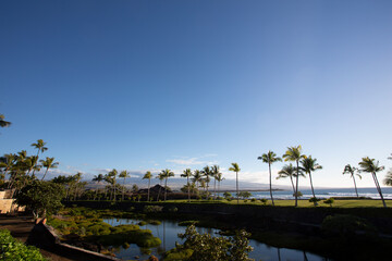 池と椰子の木越しに広大な海岸線を望むハワイ島の風景