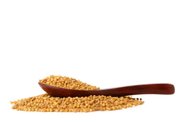 Spoon with mustard seeds on white background