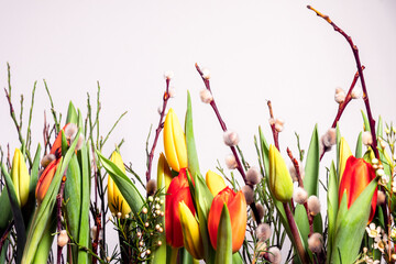 Bunte Blumen verschieden Tulpen Weidenkätzchen Wachsblume Dekoration im Frühling