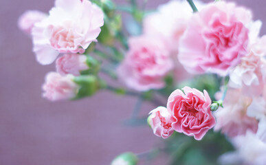 Fototapeta na wymiar Bouquet of carnations