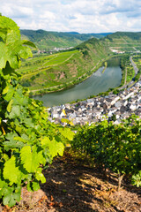 Vineyards And Moselle Riverbend Village, Germany