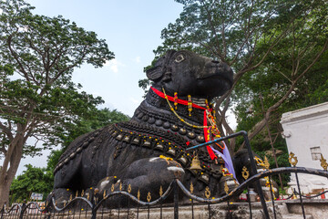 350 year old monolithic statue of Nandi (Bull) God, Chamundi Hill, Mysore, India. South Indian Temple, Hindu religious place. Mysore Maharaja.