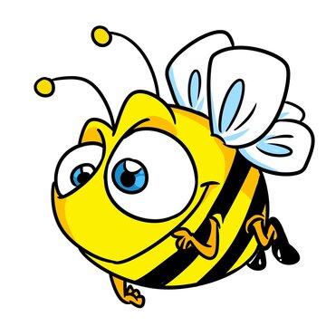 bee insect animal flying illustration cartoon