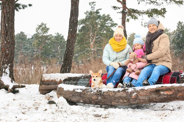 Little girl with toy, her grandparents and Corgi dog in forest on snowy winter day