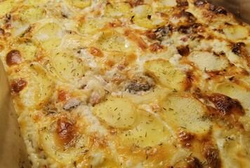 pizza with cheese