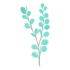 Hand drawn Vector watercolor eucalyptus branch. Element for decor of wedding invitations. Decorative beautiful elegant green branches in flat style.