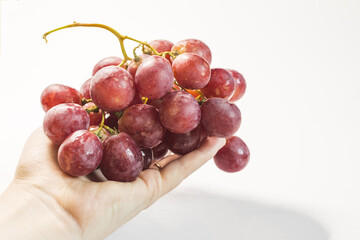 The hand holds red grapes on a light background.
