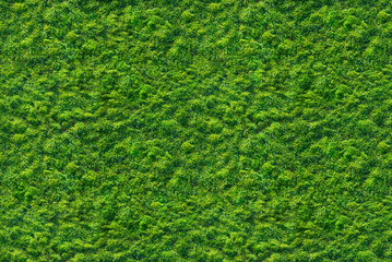 seamless green  grass texture pattern