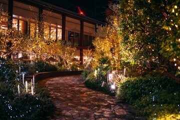 Obraz premium christmas tree at night